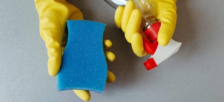 osoba drži sunđer i sredstvo za čišćenje